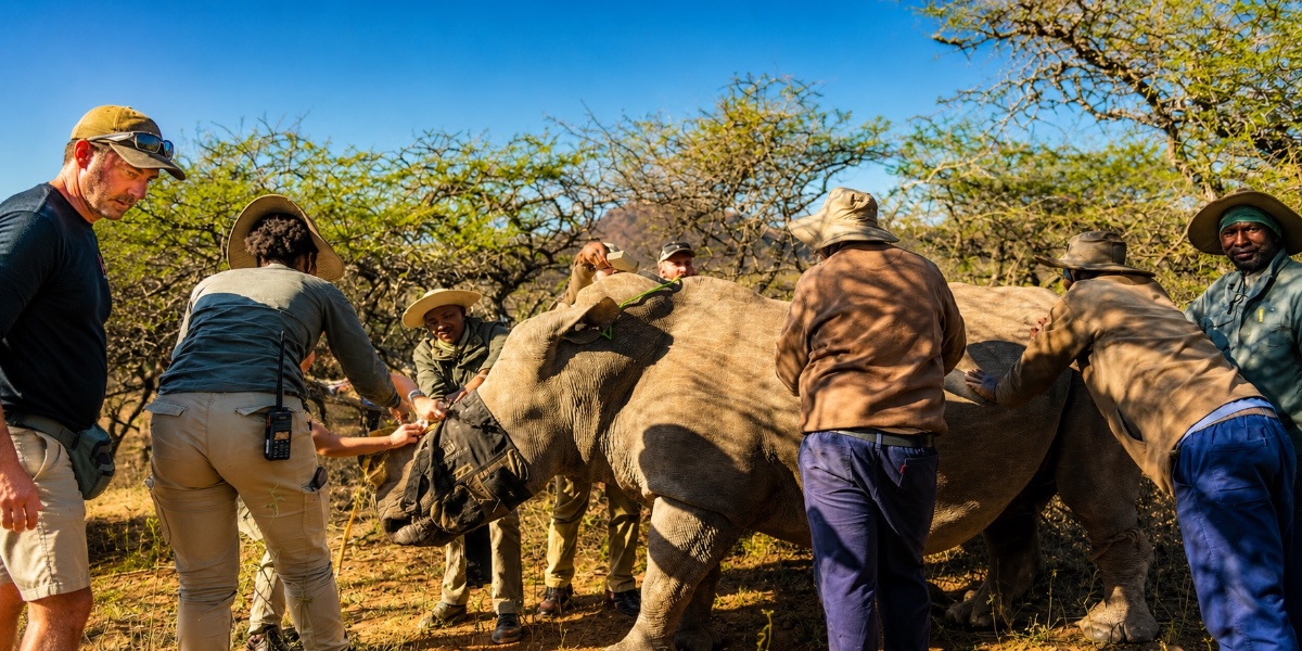 Big 5 experience programma, Zuid-Afrika
