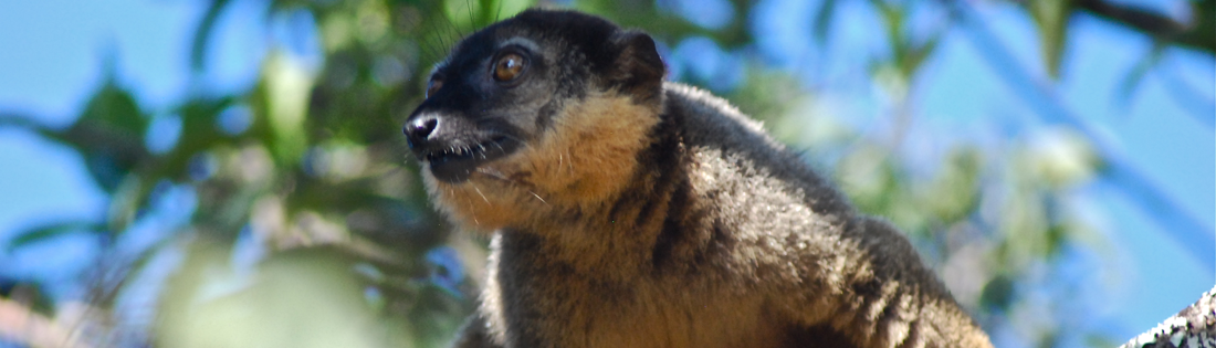 Wildlife sanctuary project, Krugerpark, Zuid-Afrika