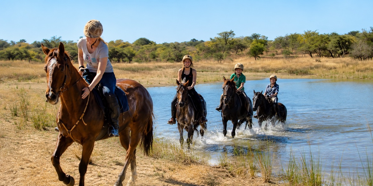 Imire paardenproject, Zimbabwe