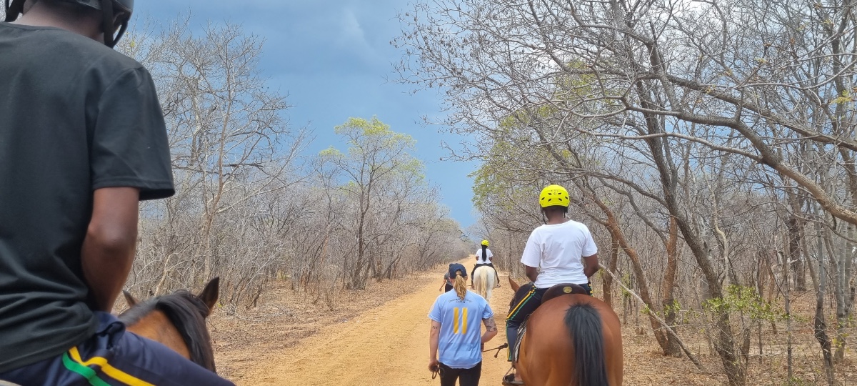 Hwange Horseback Safaris project, Zimbabwe