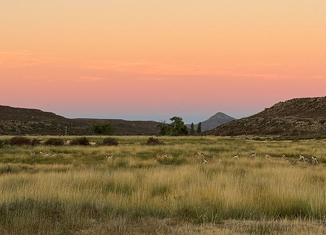 Nature Conservation project, Karoo, Zuid-Afrika