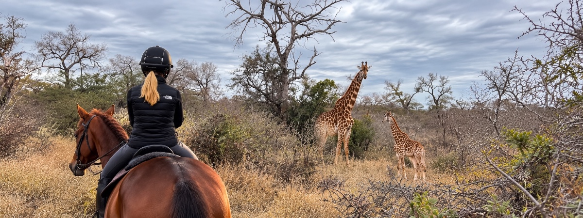African Dream Horse Safari, Zuid-Afrika